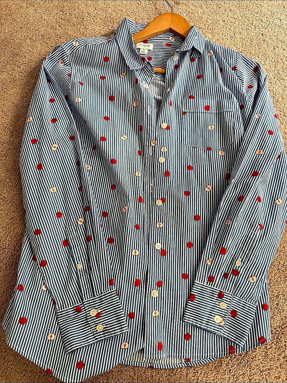 New J Crew Striped Long Sleeve Button Down in Blue & White
